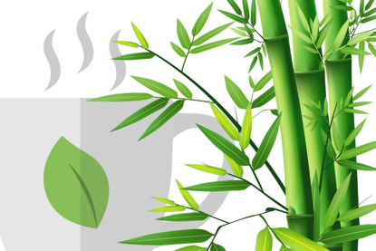 Bild von Bambusz zöld teás bőrtáplálás13:00